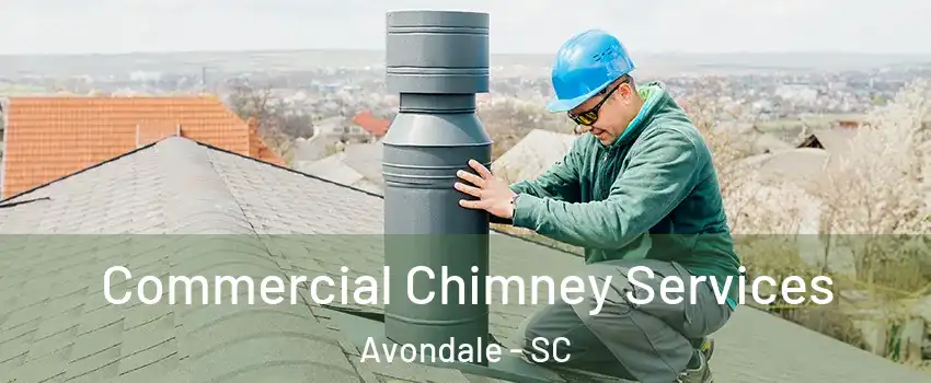 Commercial Chimney Services Avondale - SC