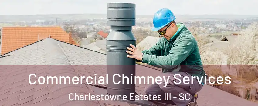 Commercial Chimney Services Charlestowne Estates III - SC