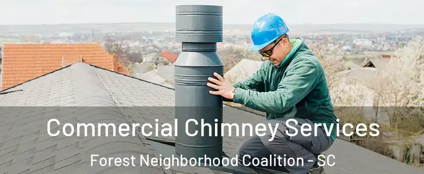 Commercial Chimney Services Forest Neighborhood Coalition - SC