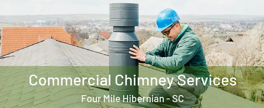 Commercial Chimney Services Four Mile Hibernian - SC