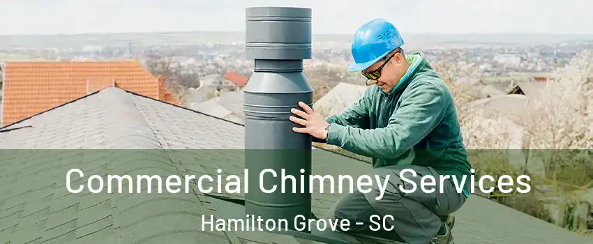 Commercial Chimney Services Hamilton Grove - SC