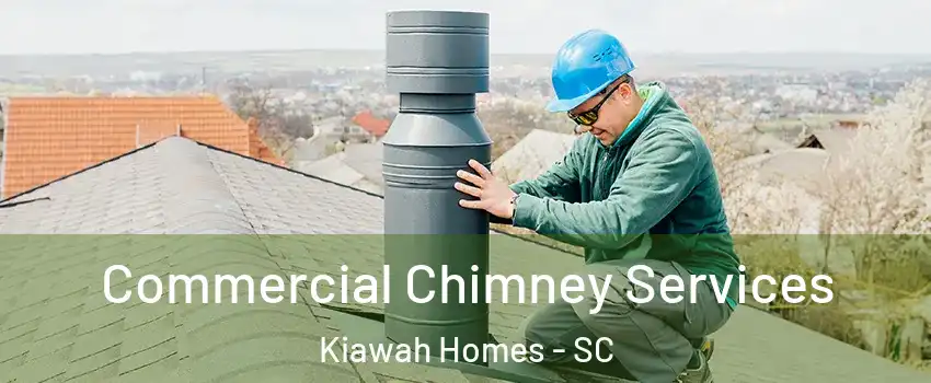 Commercial Chimney Services Kiawah Homes - SC