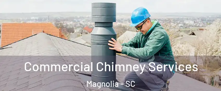 Commercial Chimney Services Magnolia - SC