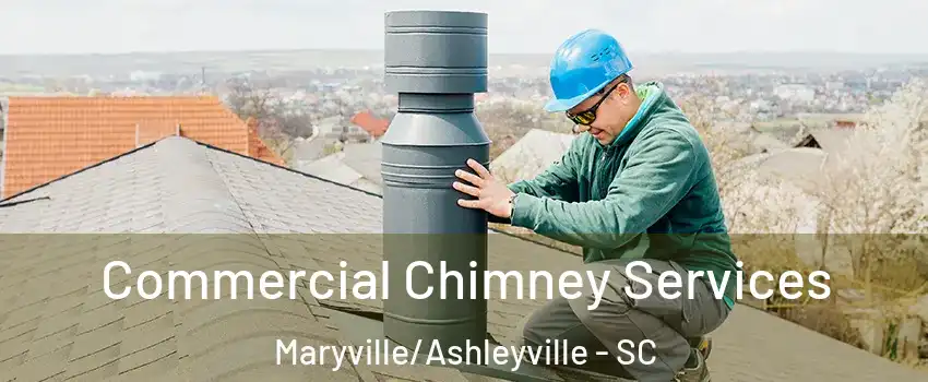 Commercial Chimney Services Maryville/Ashleyville - SC