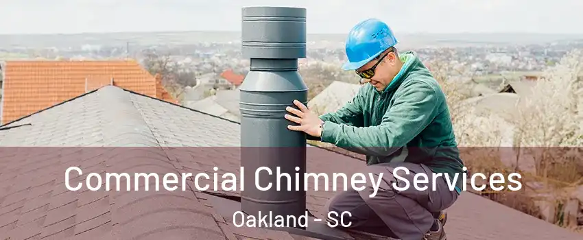 Commercial Chimney Services Oakland - SC