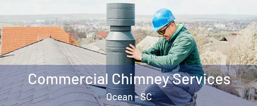 Commercial Chimney Services Ocean - SC