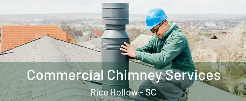 Commercial Chimney Services Rice Hollow - SC