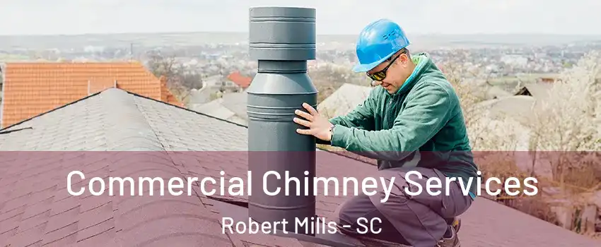 Commercial Chimney Services Robert Mills - SC