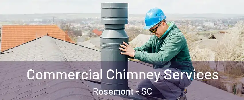 Commercial Chimney Services Rosemont - SC