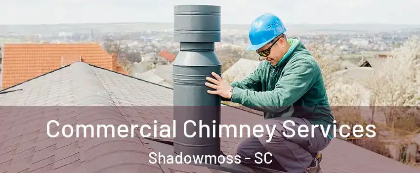 Commercial Chimney Services Shadowmoss - SC