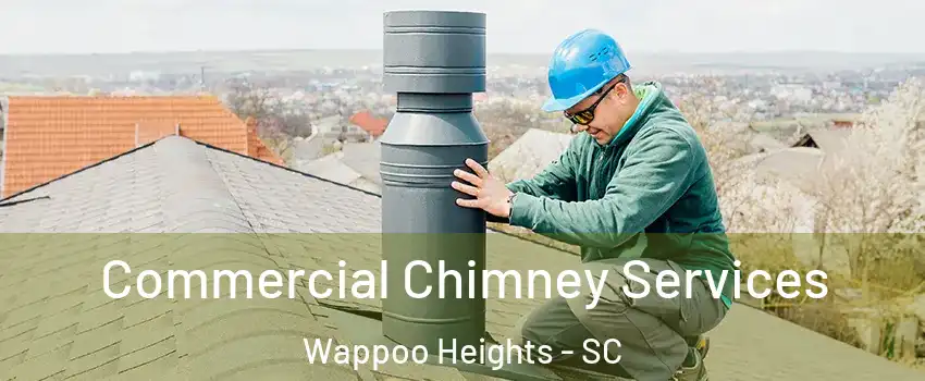 Commercial Chimney Services Wappoo Heights - SC