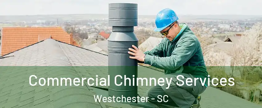 Commercial Chimney Services Westchester - SC