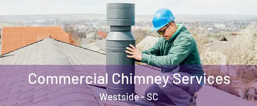 Commercial Chimney Services Westside - SC