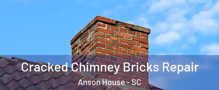 Cracked Chimney Bricks Repair Anson House - SC