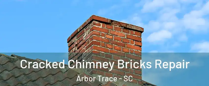 Cracked Chimney Bricks Repair Arbor Trace - SC