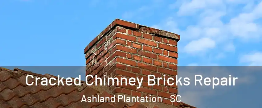 Cracked Chimney Bricks Repair Ashland Plantation - SC