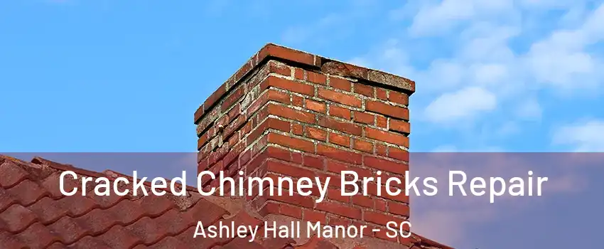 Cracked Chimney Bricks Repair Ashley Hall Manor - SC