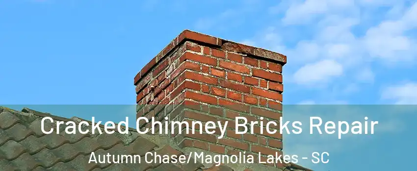 Cracked Chimney Bricks Repair Autumn Chase/Magnolia Lakes - SC