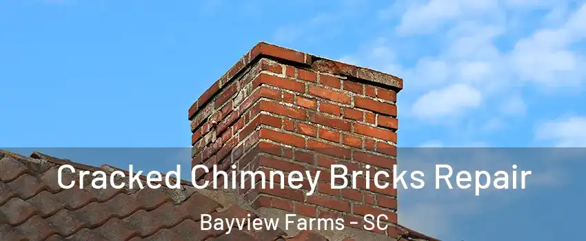 Cracked Chimney Bricks Repair Bayview Farms - SC