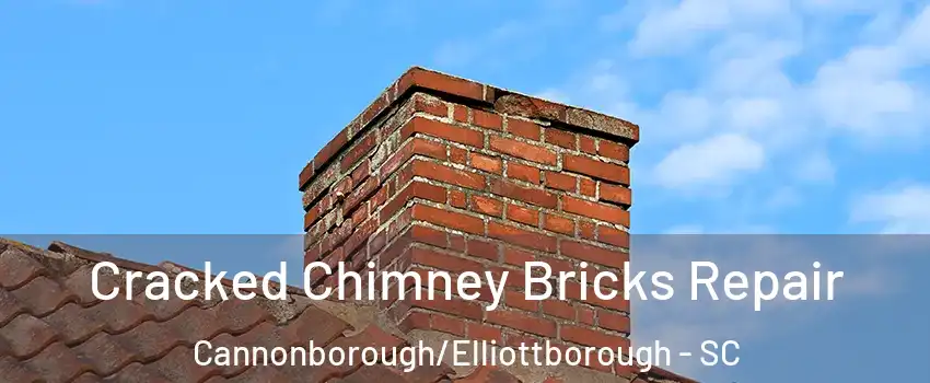 Cracked Chimney Bricks Repair Cannonborough/Elliottborough - SC