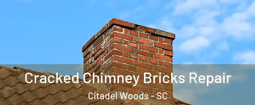 Cracked Chimney Bricks Repair Citadel Woods - SC