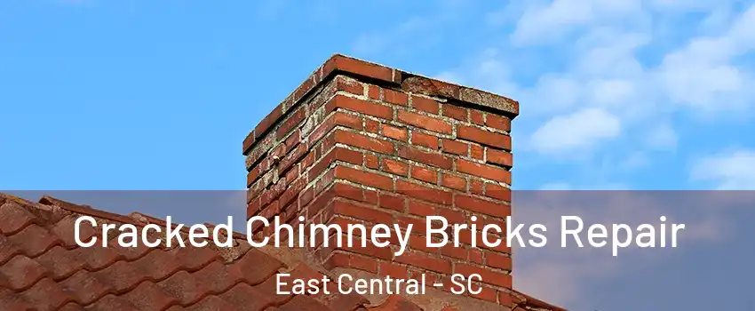 Cracked Chimney Bricks Repair East Central - SC