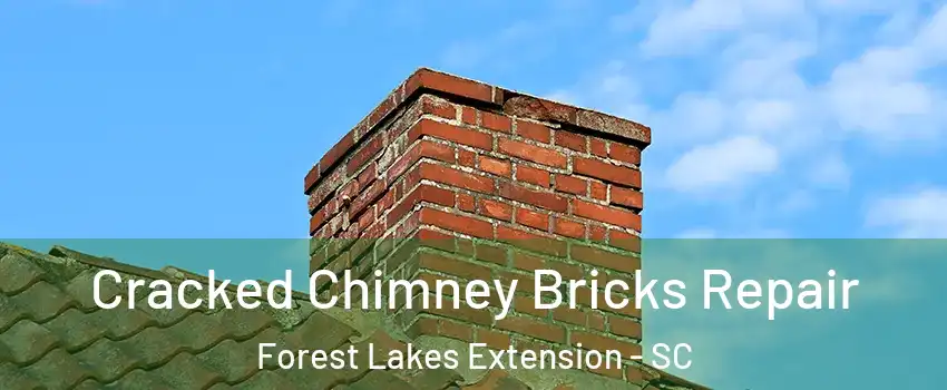 Cracked Chimney Bricks Repair Forest Lakes Extension - SC