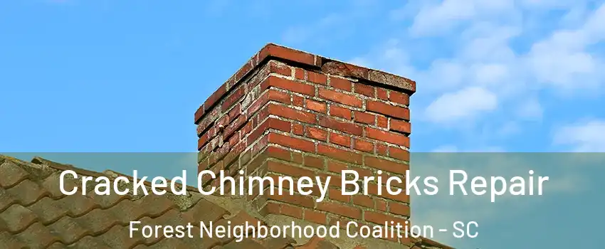 Cracked Chimney Bricks Repair Forest Neighborhood Coalition - SC