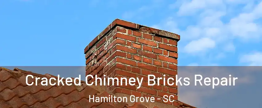 Cracked Chimney Bricks Repair Hamilton Grove - SC