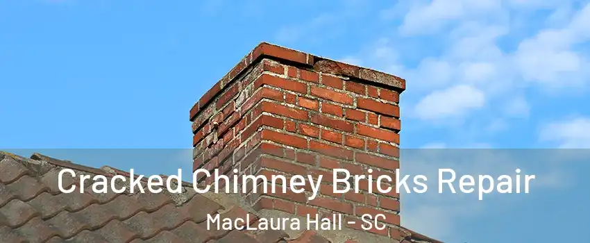 Cracked Chimney Bricks Repair MacLaura Hall - SC