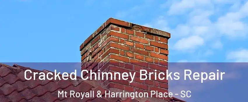 Cracked Chimney Bricks Repair Mt Royall & Harrington Place - SC