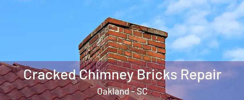 Cracked Chimney Bricks Repair Oakland - SC