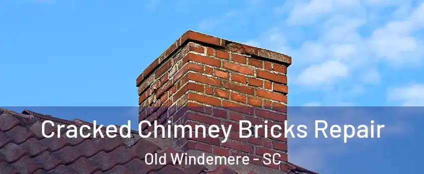 Cracked Chimney Bricks Repair Old Windemere - SC