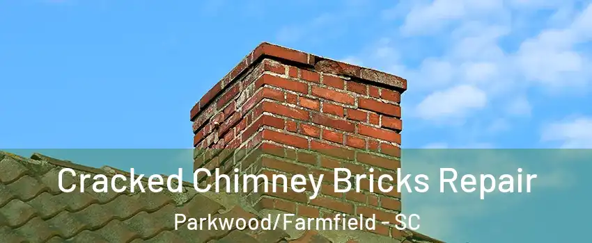 Cracked Chimney Bricks Repair Parkwood/Farmfield - SC