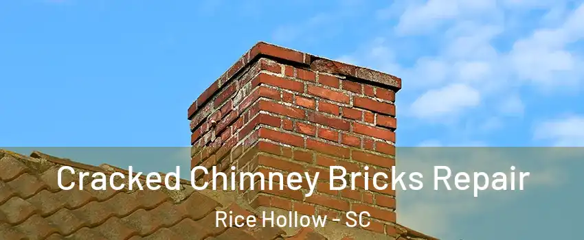 Cracked Chimney Bricks Repair Rice Hollow - SC