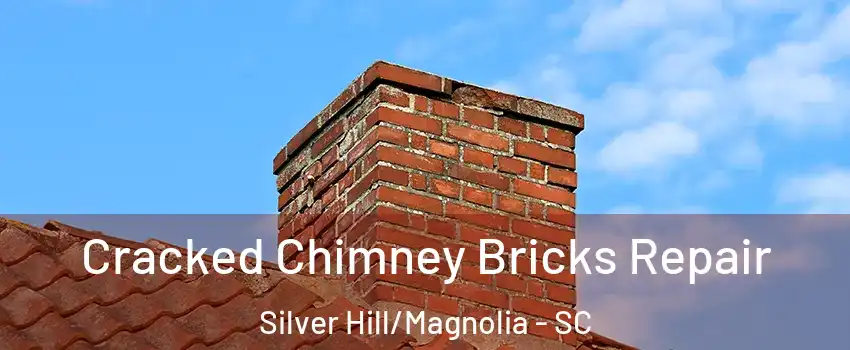 Cracked Chimney Bricks Repair Silver Hill/Magnolia - SC