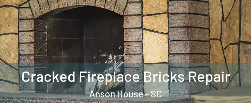 Cracked Fireplace Bricks Repair Anson House - SC