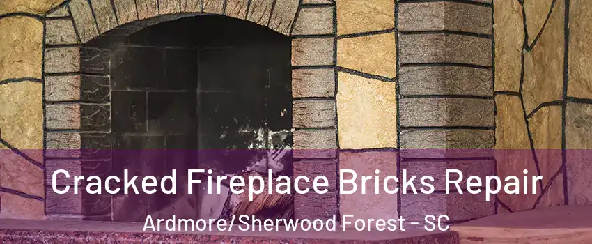 Cracked Fireplace Bricks Repair Ardmore/Sherwood Forest - SC