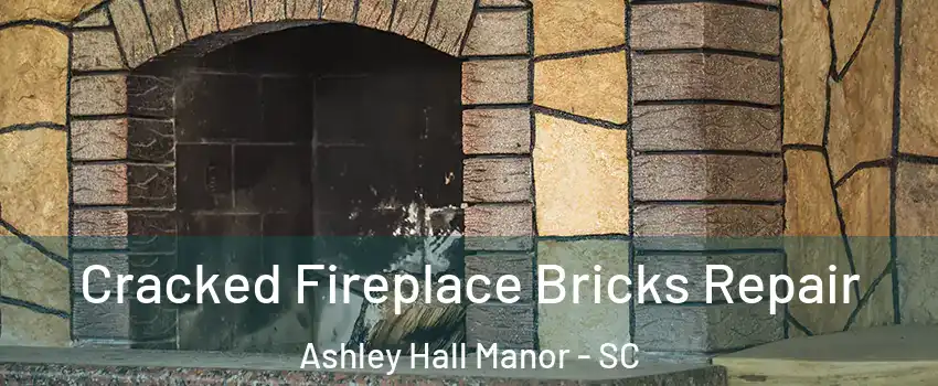 Cracked Fireplace Bricks Repair Ashley Hall Manor - SC