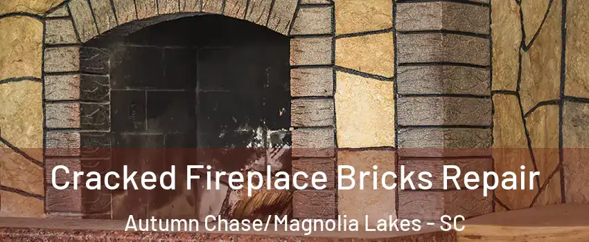 Cracked Fireplace Bricks Repair Autumn Chase/Magnolia Lakes - SC