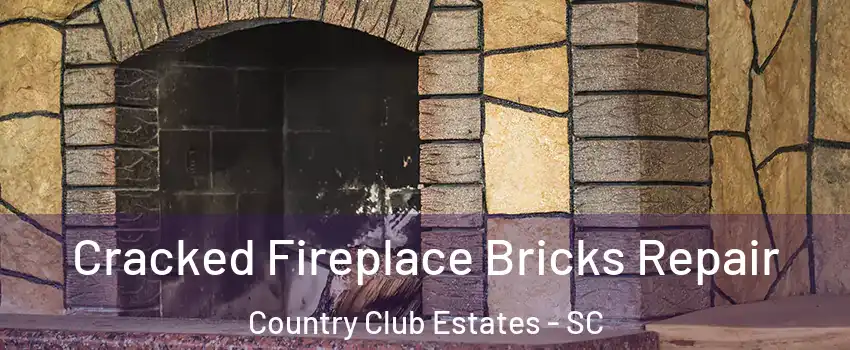 Cracked Fireplace Bricks Repair Country Club Estates - SC