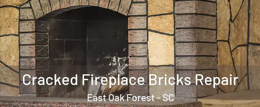 Cracked Fireplace Bricks Repair East Oak Forest - SC