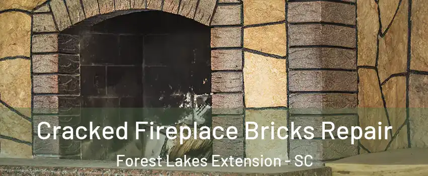 Cracked Fireplace Bricks Repair Forest Lakes Extension - SC