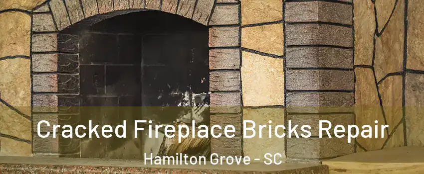 Cracked Fireplace Bricks Repair Hamilton Grove - SC