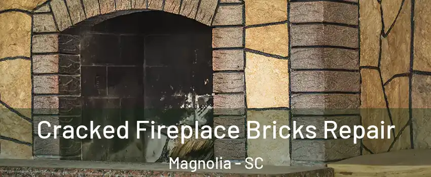 Cracked Fireplace Bricks Repair Magnolia - SC