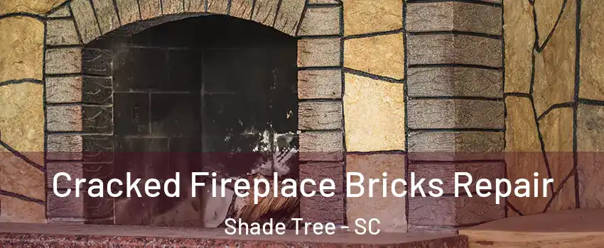 Cracked Fireplace Bricks Repair Shade Tree - SC