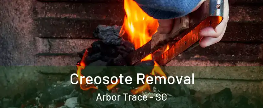 Creosote Removal Arbor Trace - SC