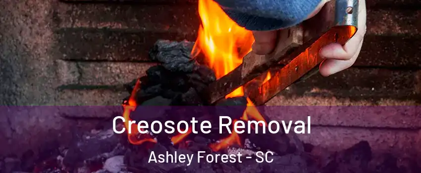 Creosote Removal Ashley Forest - SC