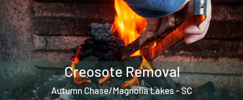 Creosote Removal Autumn Chase/Magnolia Lakes - SC