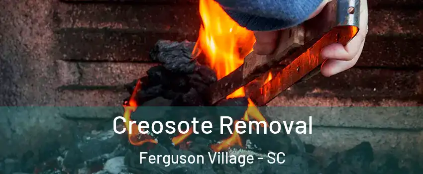 Creosote Removal Ferguson Village - SC